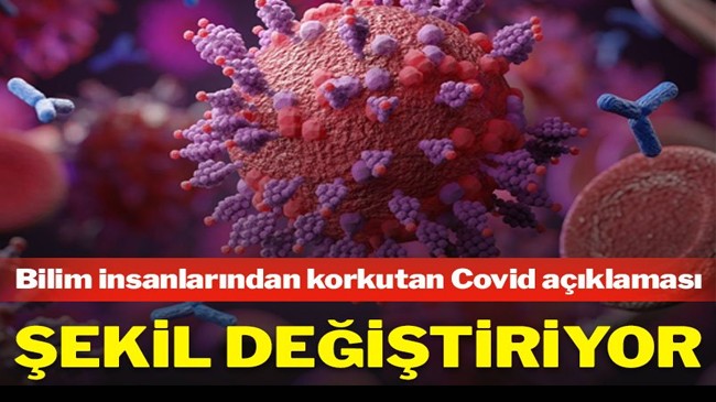 Bilim insanları uyardı: Birkaç Covid varyantı aynı anda bulaşabilir