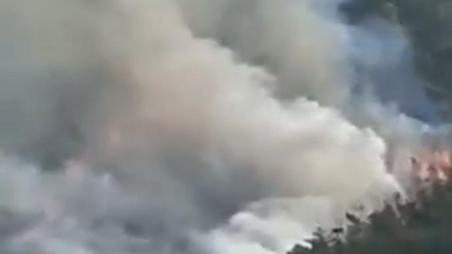 Son dakika: Çin’de uçak düştü, yangın çıktı! 133 yolcuyu taşıyordu, resmi bir açıklama yapılmadı