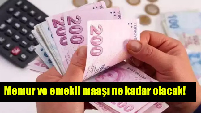 Memur ve emekli maaşı ne kadar olacak