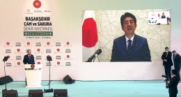 Japonya Başbakanı Abe: