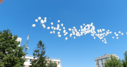 Kosova’da balonlar kayıp kişiler için uçuruldu