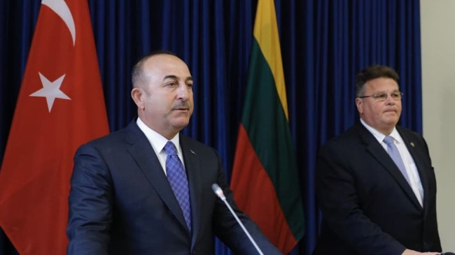 Dışişleri Bakanı Çavuşoğlu ve Litvanyalı mevkidaşından ortak basın açıklaması