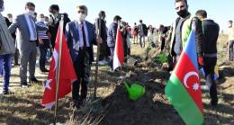 DPÜ’lü uluslararası öğrenciler 500 selvi fidanını toprakla buluşturdu