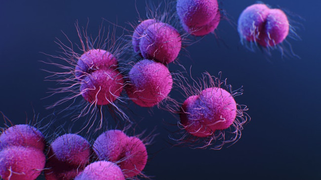 Bilim insanlarından ‘2070’ için korkutan senaryo: 4 bin virüs yayılacak…